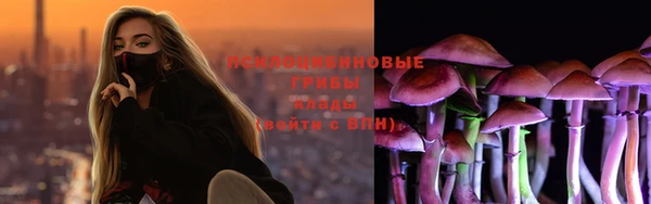 мяу мяу мука Горняк