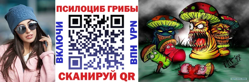 купить  цена  Павловск  Галлюциногенные грибы Cubensis 
