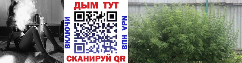даркнет Telegram  Павловск  Каннабис THC 21% 